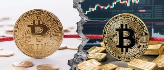 Bitcoins volatilitet og fremtid: Undersøker den nylige økningen og skepsisen