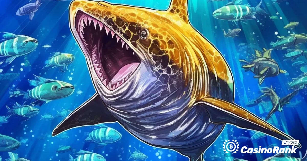 Ukjent 'Smart Whale' tjener millioner av handel med innpakket Bitcoin og oppdager sovende Ethereum ICO-lommebok